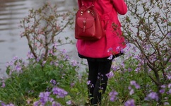 旅行要了妈妈三次